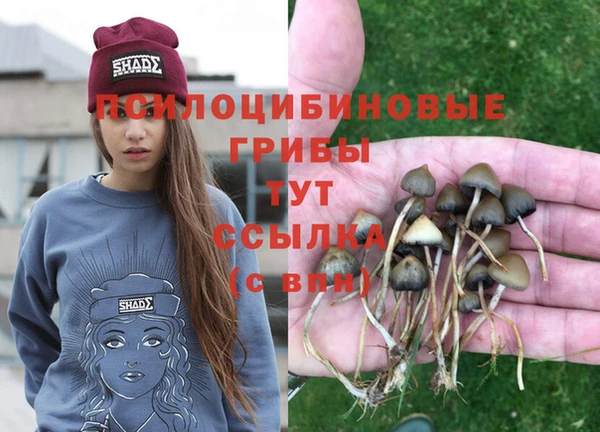 прущие грибы Тольятти