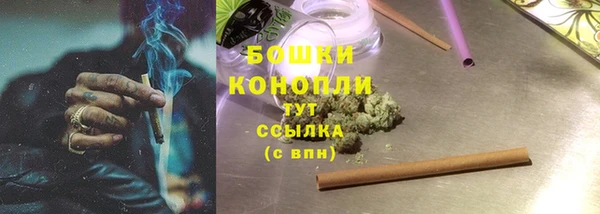 прущие крисы Абаза