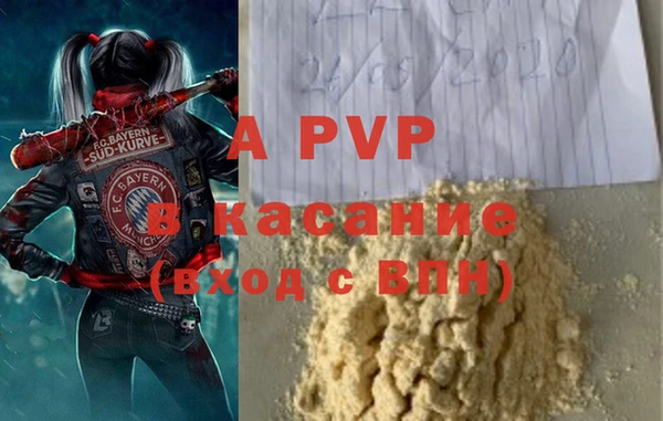прущие крисы Абаза